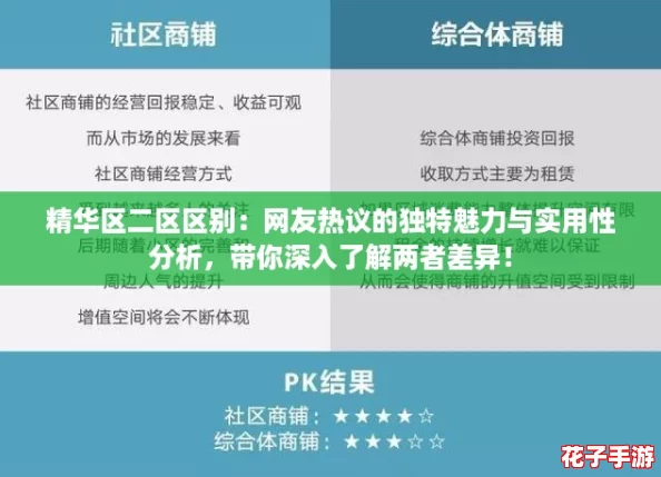 精华区二区区别：网友热议的独特魅力与实用性分析，带你深入了解两者差异！