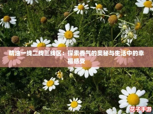 精油一线二线三线区：探索香气的奥秘与生活中的幸福感受