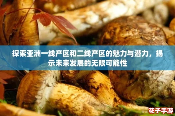 探索亚洲一线产区和二线产区的魅力与潜力，揭示未来发展的无限可能性