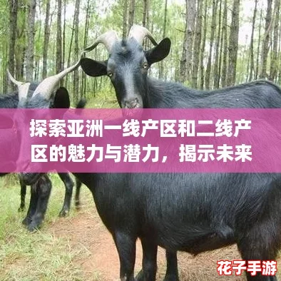 探索亚洲一线产区和二线产区的魅力与潜力，揭示未来发展的无限可能性