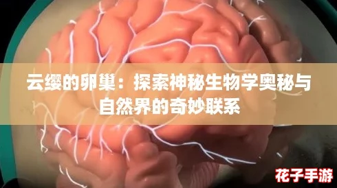 云缨的卵巢：探索神秘生物学奥秘与自然界的奇妙联系