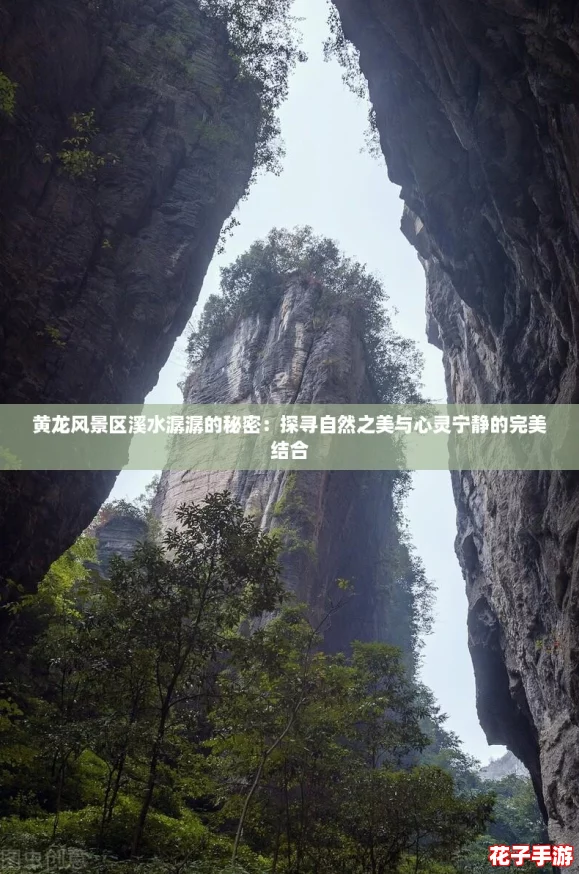 黄龙风景区溪水潺潺的秘密：探寻自然之美与心灵宁静的完美结合
