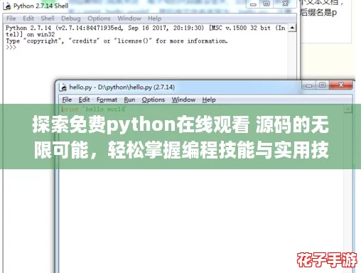 探索免费python在线观看 源码的无限可能，轻松掌握编程技能与实用技巧