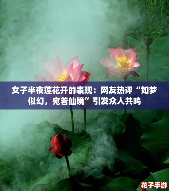 女子半夜莲花开的表现：网友热评“如梦似幻，宛若仙境”引发众人共鸣
