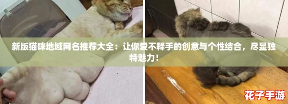 新版猫咪地域网名推荐大全：让你爱不释手的创意与个性结合，尽显独特魅力！