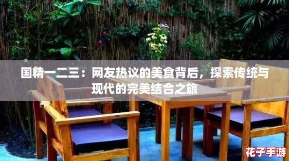 国精一二三：网友热议的美食背后，探索传统与现代的完美结合之旅
