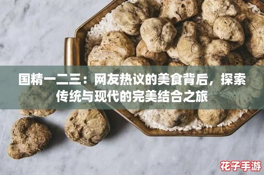 国精一二三：网友热议的美食背后，探索传统与现代的完美结合之旅