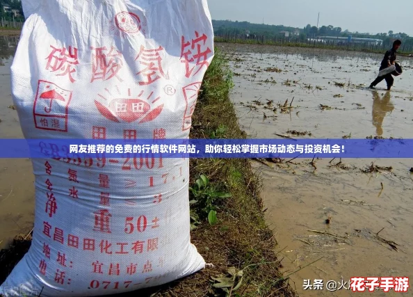 网友推荐的免费的行情软件网站，助你轻松掌握市场动态与投资机会！