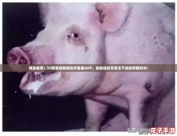 网友推荐：50款夜间禁用软件免费APP，助你轻松享受无干扰的安静时光！