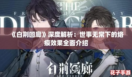 《白荆回廊》深度解析：世事无常下的烙痕效果全面介绍