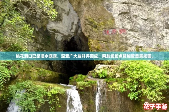桃花洞口已是溪水潺潺，深受广大友好评回应，网友纷纷点赞称赞美景如画。