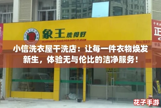小信洗衣屋干洗店：让每一件衣物焕发新生，体验无与伦比的洁净服务！