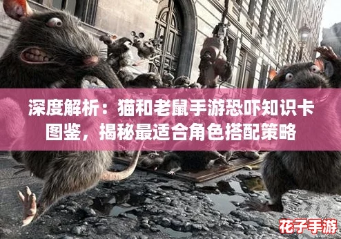 深度解析：猫和老鼠手游恐吓知识卡图鉴，揭秘最适合角色搭配策略
