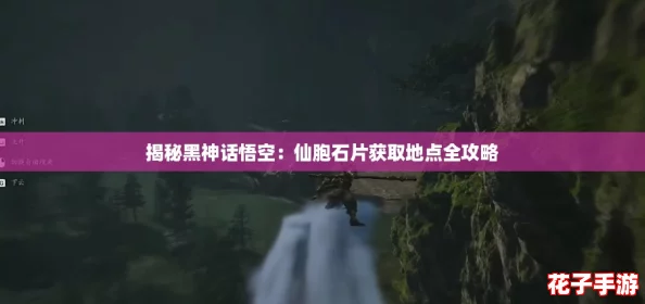 揭秘黑神话悟空：仙胞石片获取地点全攻略
