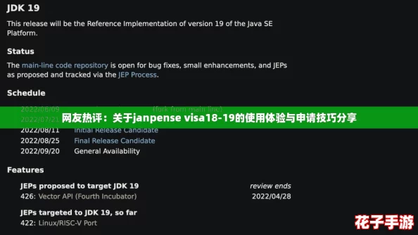 网友热评：关于janpense visa18-19的使用体验与申请技巧分享