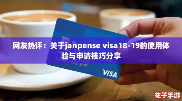 网友热评：关于janpense visa18-19的使用体验与申请技巧分享