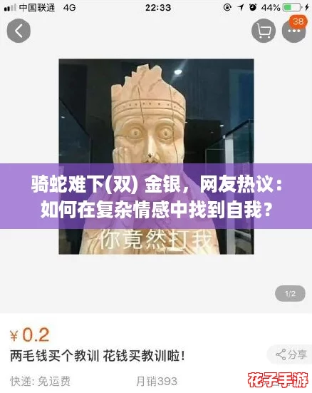 骑蛇难下(双) 金银，网友热议：如何在复杂情感中找到自我？