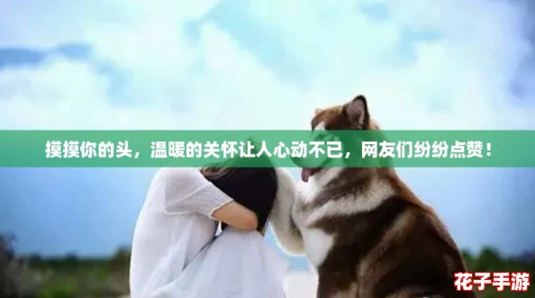 摸摸你的头，温暖的关怀让人心动不已，网友们纷纷点赞！