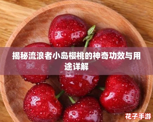 揭秘流浪者小岛樱桃的神奇功效与用途详解 揭秘流浪者小岛樱桃的神奇功效与用途详解