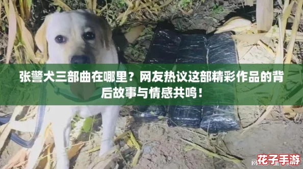 张警犬三部曲在哪里？网友热议这部精彩作品的背后故事与情感共鸣！