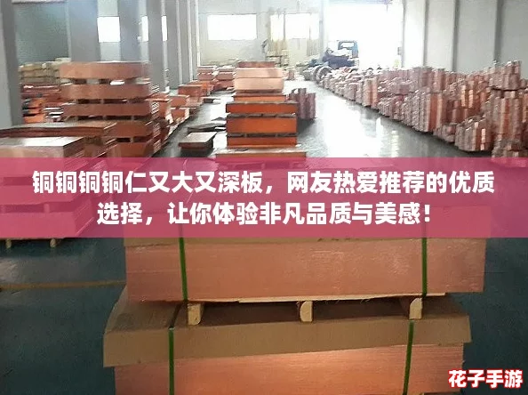 铜铜铜铜仁又大又深板，网友热爱推荐的优质选择，让你体验非凡品质与美感！