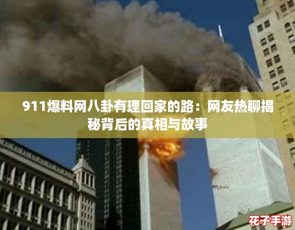 911爆料网八卦有理回家的路：网友热聊揭秘背后的真相与故事