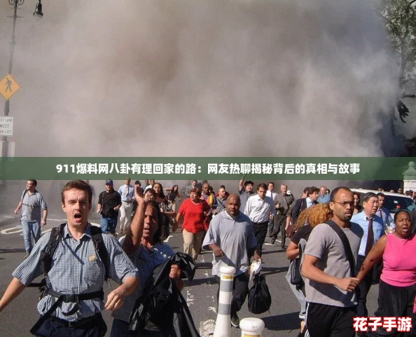 911爆料网八卦有理回家的路：网友热聊揭秘背后的真相与故事
