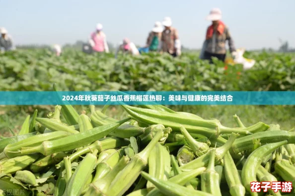 2024年秋葵茄子丝瓜香蕉榴莲热聊：美味与健康的完美结合