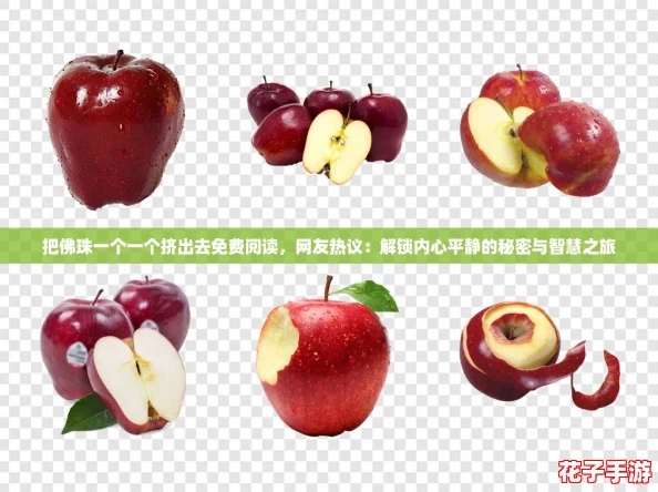 把佛珠一个一个挤出去免费阅读，网友热议：解锁内心平静的秘密与智慧之旅