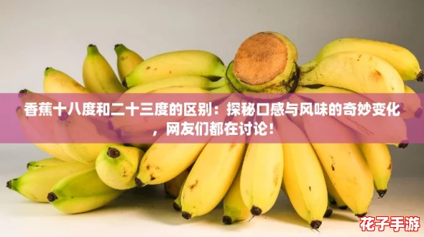 香蕉十八度和二十三度的区别：探秘口感与风味的奇妙变化，网友们都在讨论！