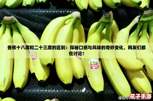 香蕉十八度和二十三度的区别：探秘口感与风味的奇妙变化，网友们都在讨论！