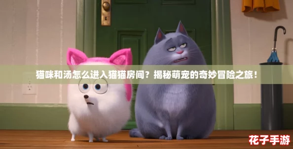 猫咪和汤怎么进入猫猫房间？揭秘萌宠的奇妙冒险之旅！