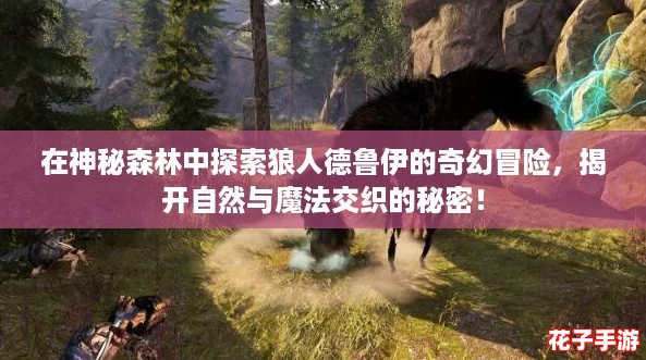在神秘森林中探索狼人德鲁伊的奇幻冒险，揭开自然与魔法交织的秘密！