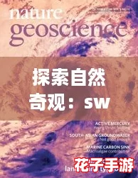 探索自然奇观：swarm蜂群免费观看，带你领略蜜蜂的神秘世界与生态之美！