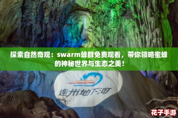 探索自然奇观:swarm蜂群免费观看,带你领略蜜蜂的神秘世界与生态之美! 探索自然奇观:swarm蜂群免费观看,带你领略蜜蜂的神秘世界与生态之美!