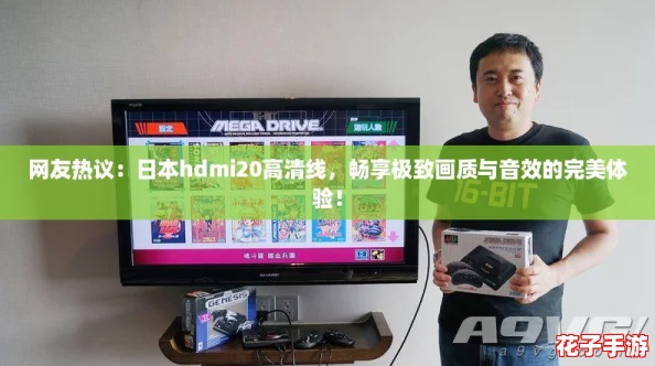 网友热议：日本hdmi20高清线，畅享极致画质与音效的完美体验！