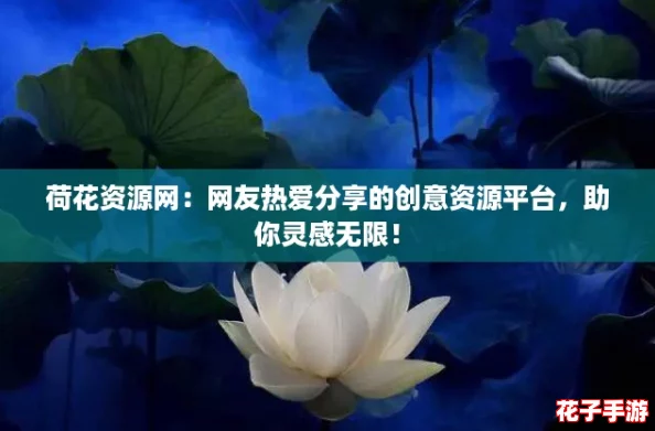 荷花资源网：网友热爱分享的创意资源平台，助你灵感无限！