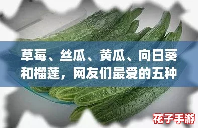 草莓、丝瓜、黄瓜、向日葵和榴莲,网友们最爱的五种美味与花卉的完美结合! 草莓、丝瓜、黄瓜、向日葵和榴莲,网友们最爱的五种美味与花卉的完美结合!