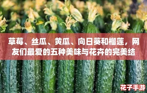 草莓、丝瓜、黄瓜、向日葵和榴莲,网友们最爱的五种美味与花卉的完美结合! 草莓、丝瓜、黄瓜、向日葵和榴莲,网友们最爱的五种美味与花卉的完美结合!
