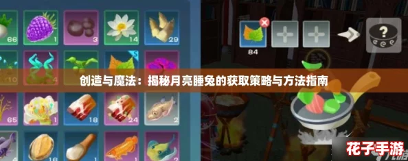 创造与魔法：揭秘月亮睡兔的获取策略与方法指南