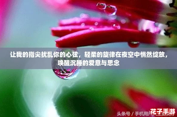 让我的指尖扰乱你的心弦，轻柔的旋律在夜空中悄然绽放，唤醒沉睡的爱意与思念