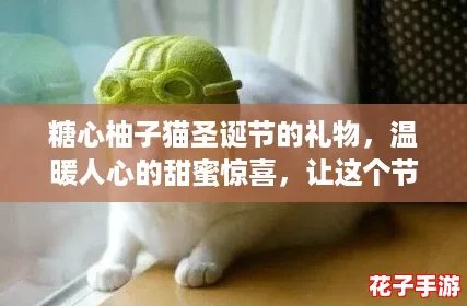 糖心柚子猫圣诞节的礼物，温暖人心的甜蜜惊喜，让这个节日更加特别与难忘