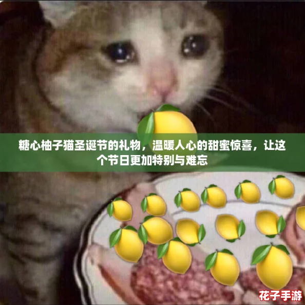 糖心柚子猫圣诞节的礼物,温暖人心的甜蜜惊喜,让这个节日更加特别与难忘 糖心柚子猫圣诞节的礼物,温暖人心的甜蜜惊喜,让这个节日更加特别与难忘