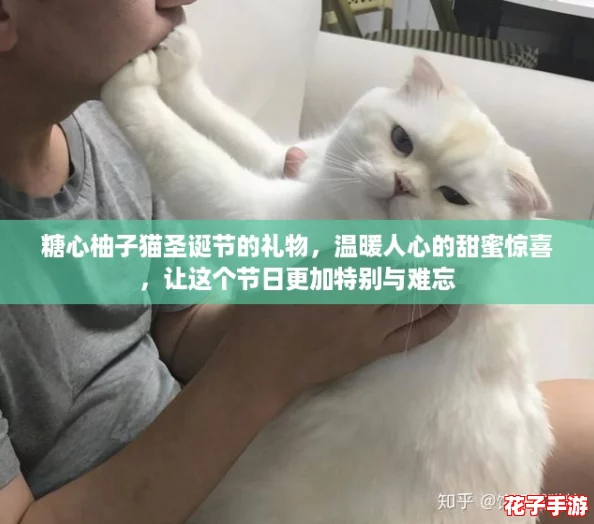 糖心柚子猫圣诞节的礼物,温暖人心的甜蜜惊喜,让这个节日更加特别与难忘 糖心柚子猫圣诞节的礼物,温暖人心的甜蜜惊喜,让这个节日更加特别与难忘