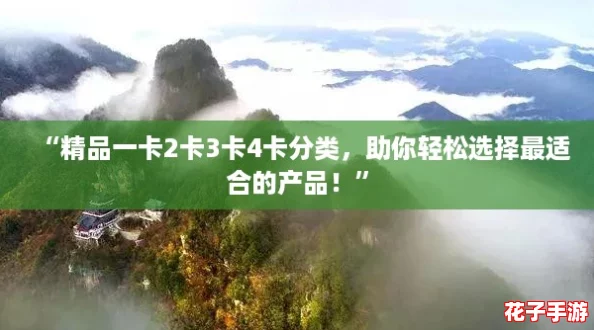 “精品一卡2卡3卡4卡分类，助你轻松选择最适合的产品！”