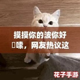 摸摸你的波你好啰嗦，网友热议这首歌的歌词背后深意与情感表达