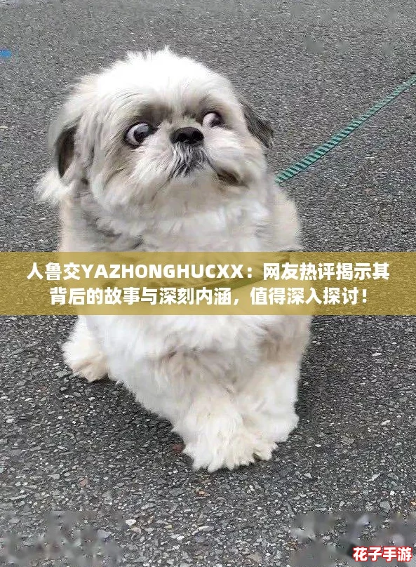 人鲁交YAZHONGHUCXX：网友热评揭示其背后的故事与深刻内涵，值得深入探讨！