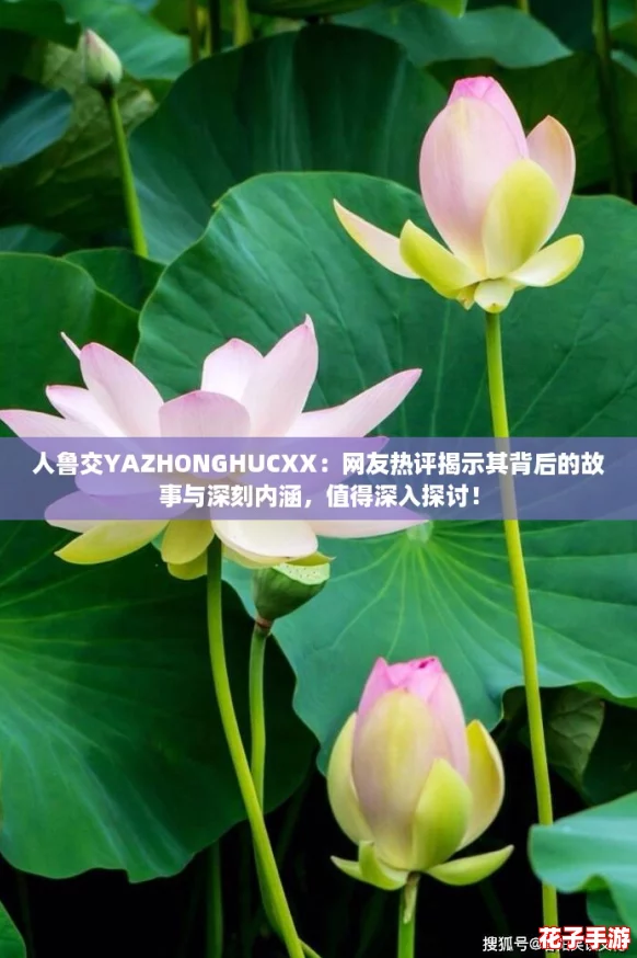 人鲁交YAZHONGHUCXX：网友热评揭示其背后的故事与深刻内涵，值得深入探讨！