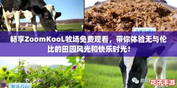 畅享ZoomKooL牧场免费观看，带你体验无与伦比的田园风光和快乐时光！