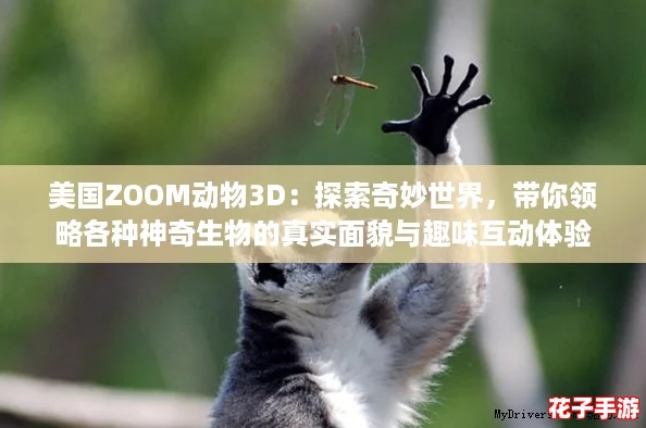 美国ZOOM动物3D：探索奇妙世界，带你领略各种神奇生物的真实面貌与趣味互动体验